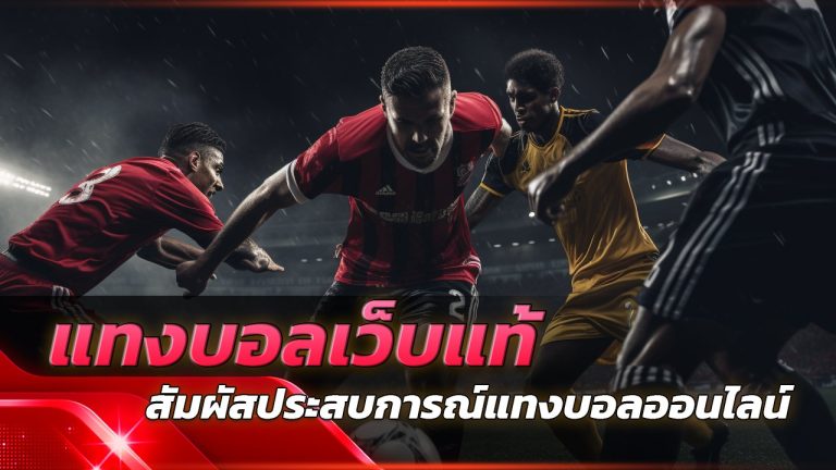 แทงบอลเว็บแท้ brazil24h